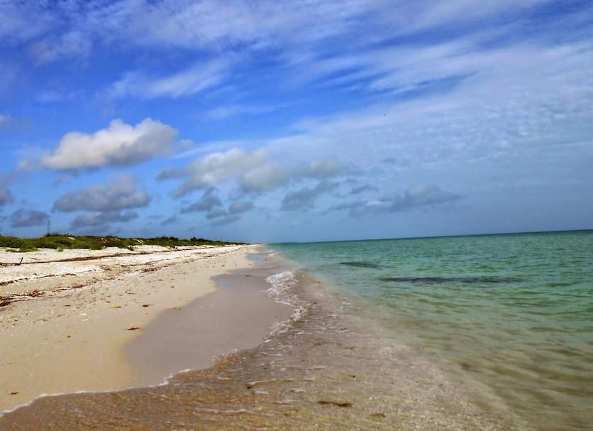Beach Photo