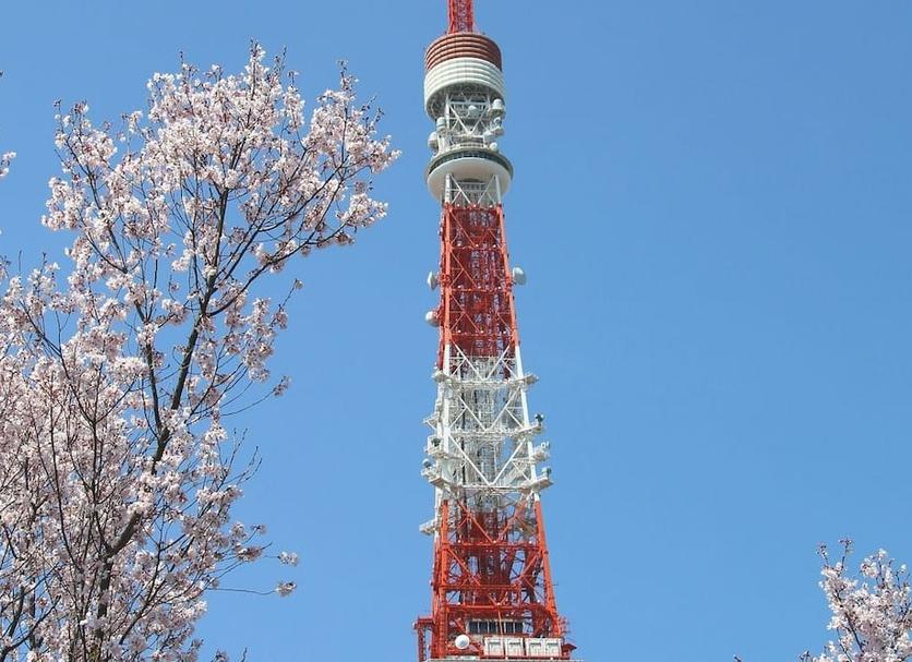 Other Photo