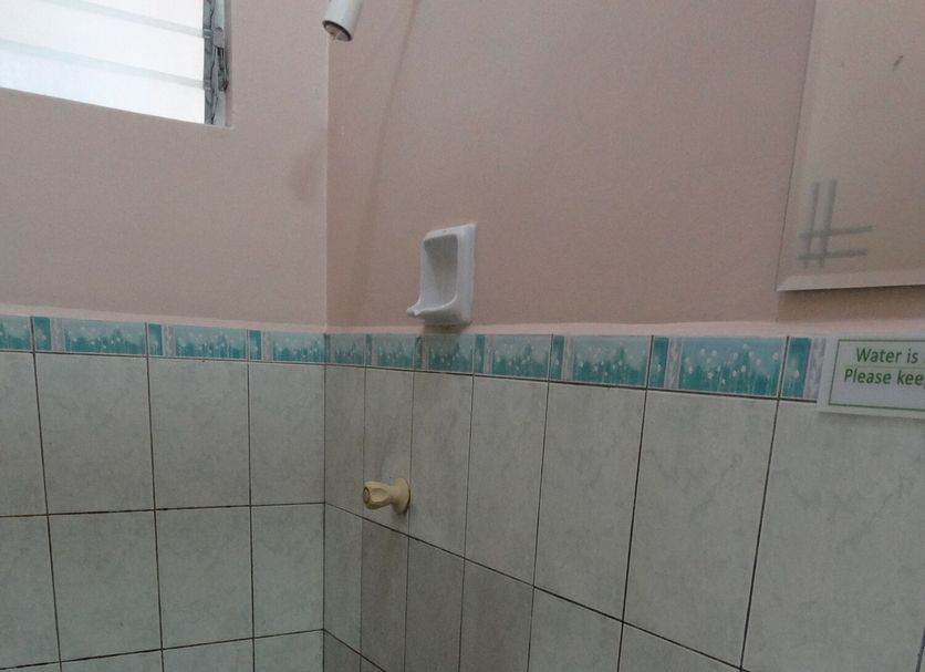 Other Photo