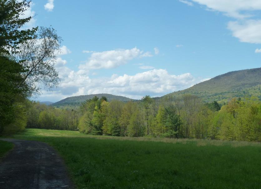 Outdoors view Photo