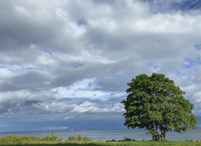 Outdoors view Photo