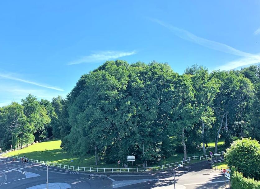 Outdoors view Photo