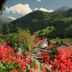 Outdoors view