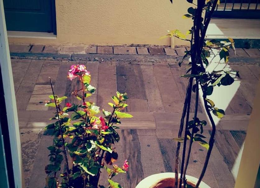 Outdoors view Photo