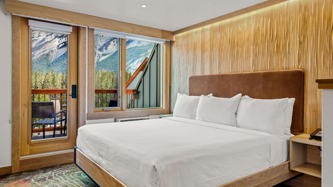 Otter Hotel
