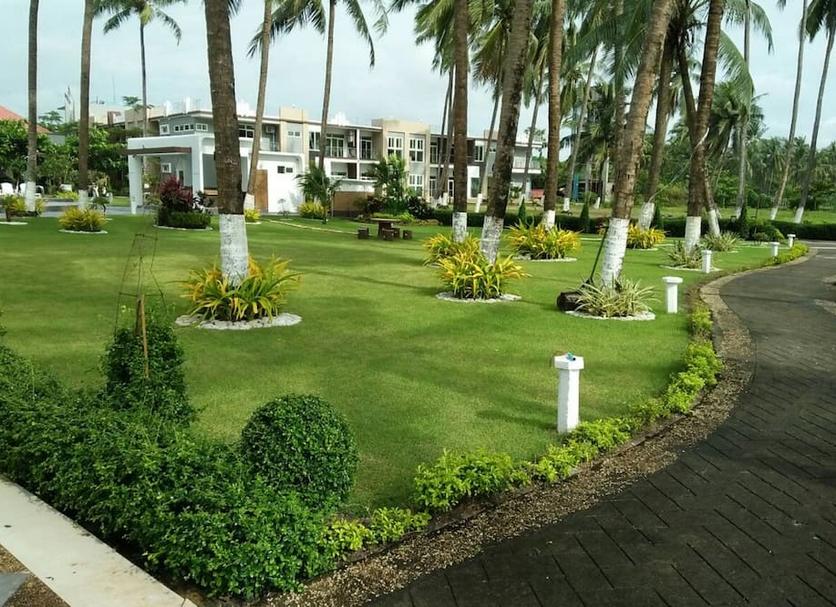 Outdoors view Photo