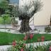 Outdoors view