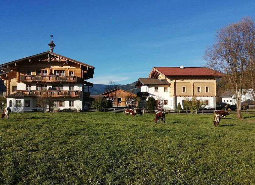 Other Photo