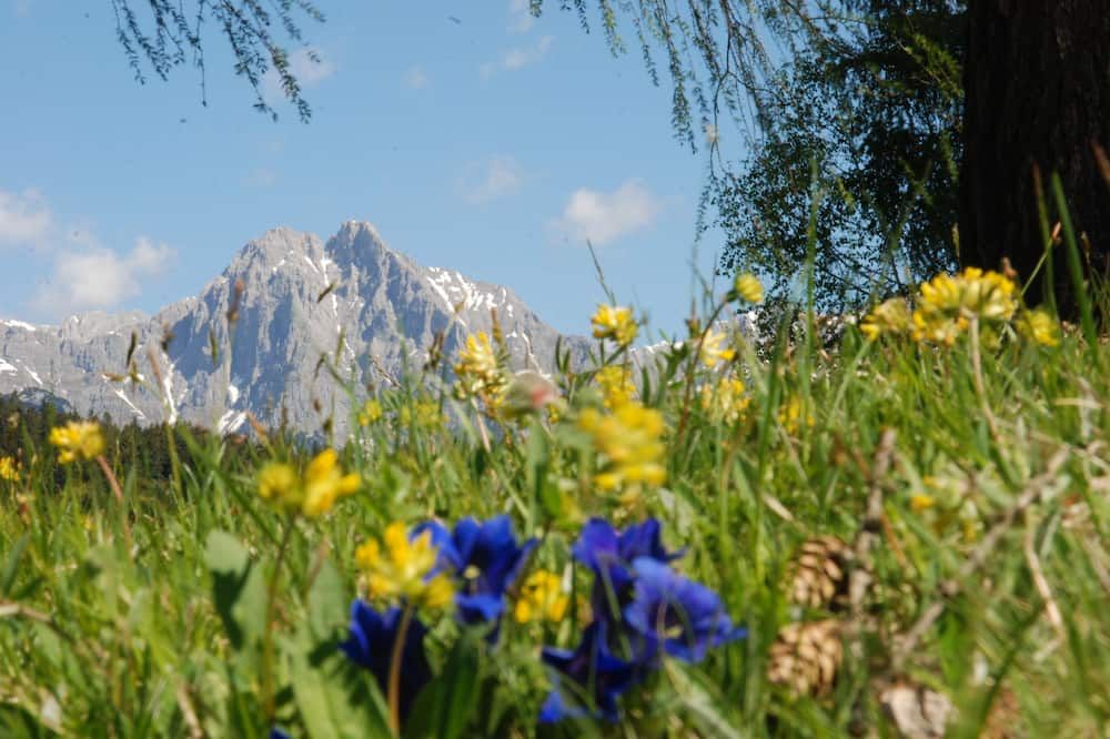 Outdoors view