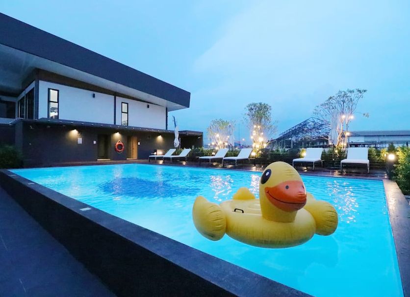 Pool Photo