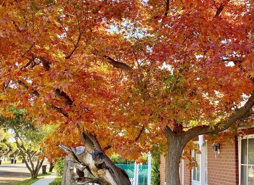 Outdoors view Photo
