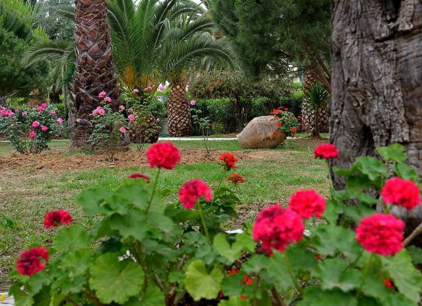 Outdoors view Photo