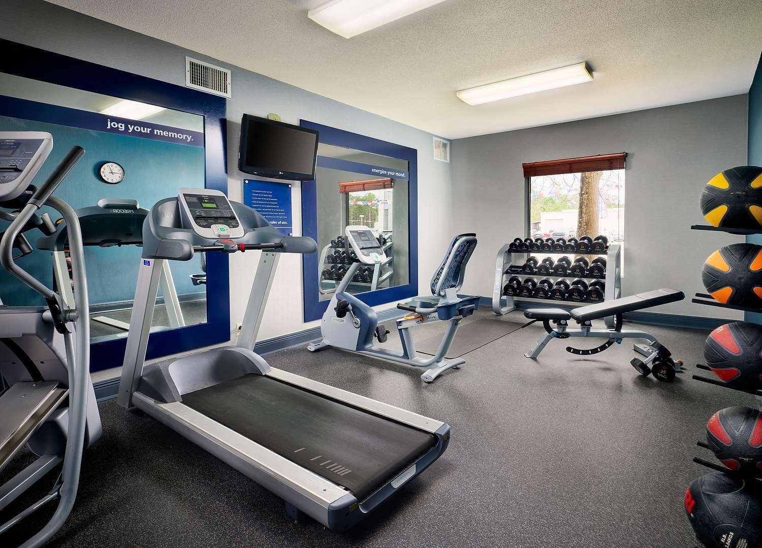 Gym