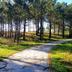 Outdoors view