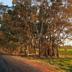 Outdoors view