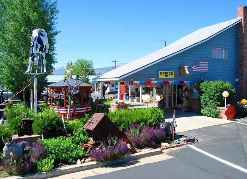Outdoors view Photo