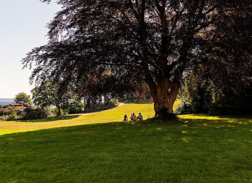 Outdoors view Photo