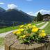Outdoors view