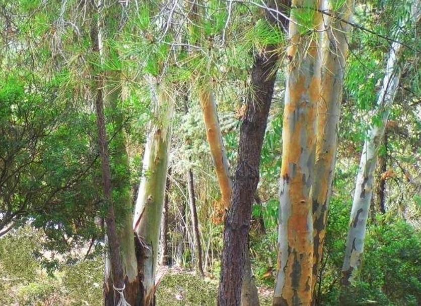 Outdoors view Photo