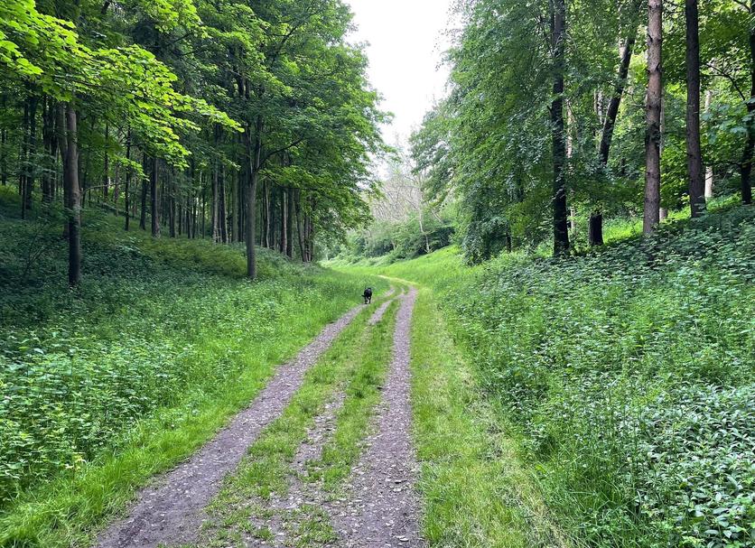 Outdoors view Photo