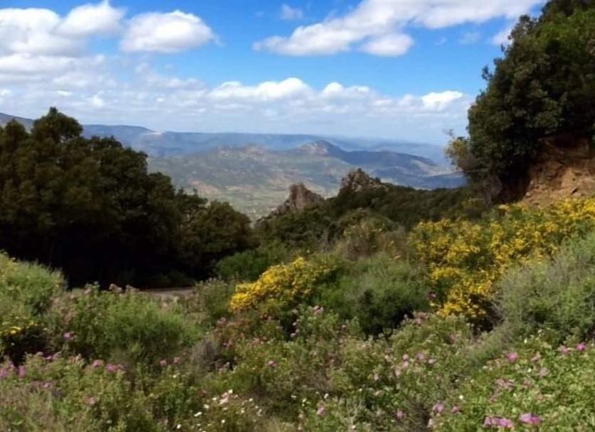 Outdoors view Photo