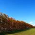 Outdoors view