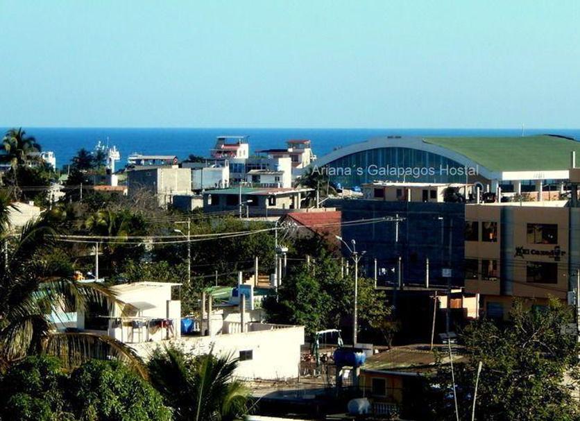 Other Photo