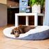 Pet friendly