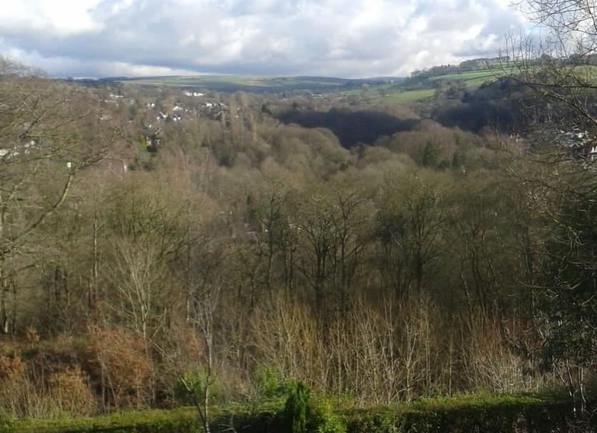 Outdoors view Photo