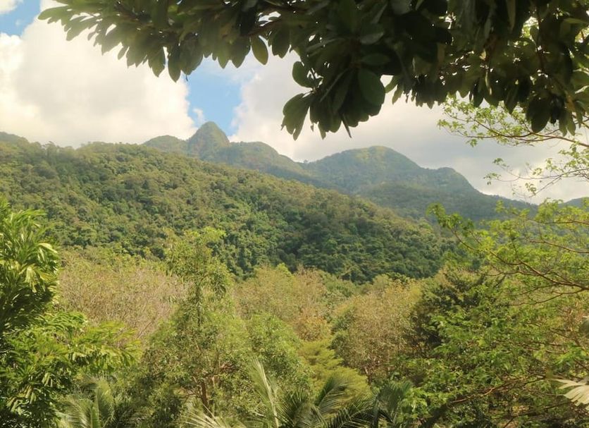 Outdoors view Photo