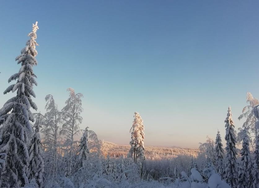 Outdoors view Photo