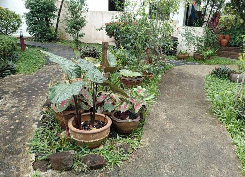 Outdoors view Photo
