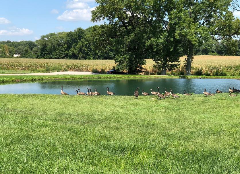 Outdoors view Photo