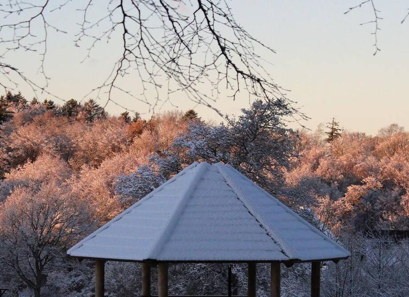 Outdoors view Photo