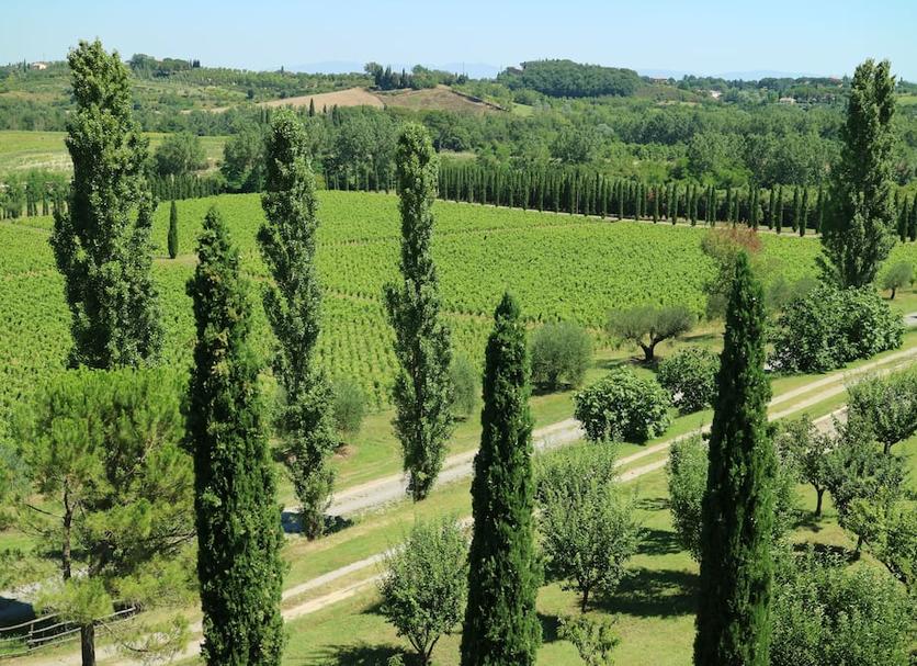 Outdoors view Photo