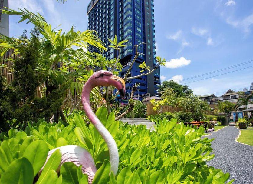 Outdoors view Photo
