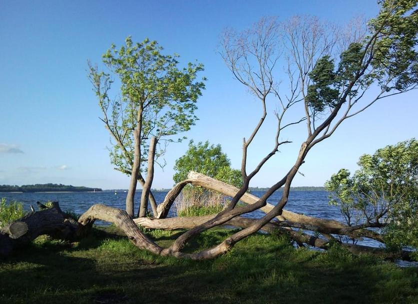 Outdoors view Photo