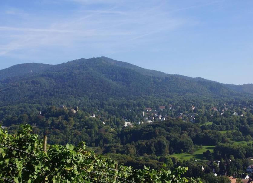 Outdoors view Photo