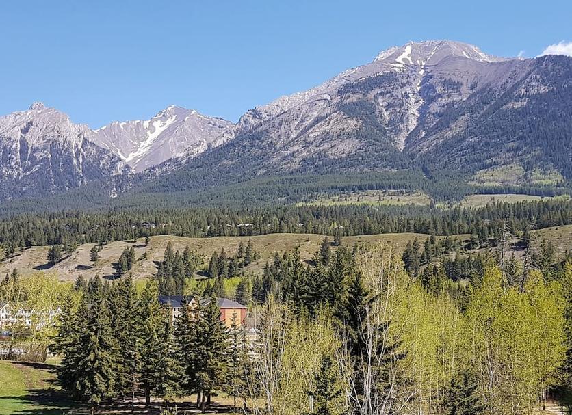 Outdoors view Photo
