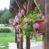 Outdoors view