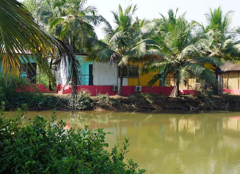 Outdoors view Photo