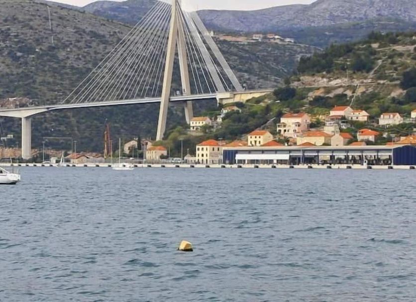 Other Photo