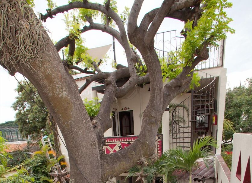 Outdoors view Photo