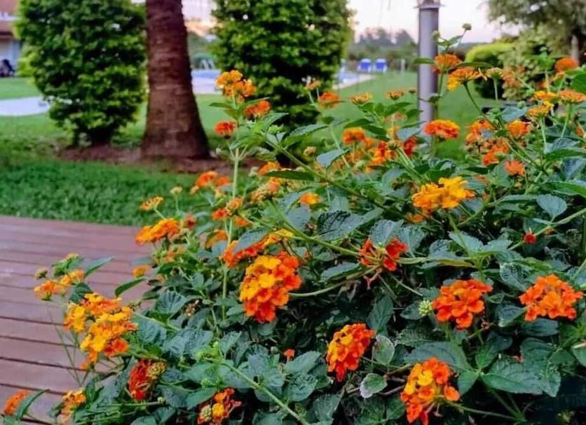 Outdoors view Photo
