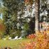 Outdoors view