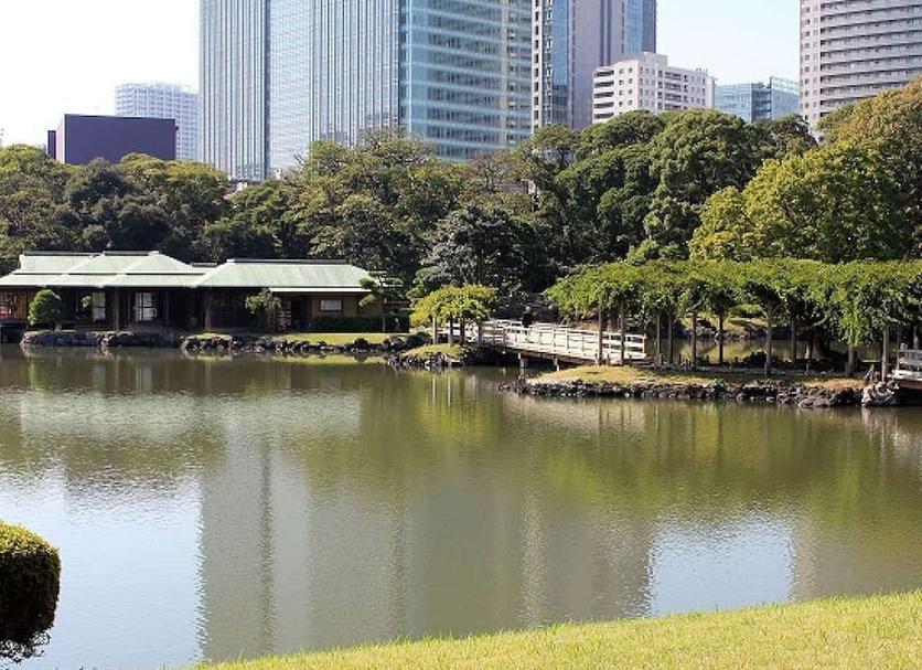 Outdoors view Photo