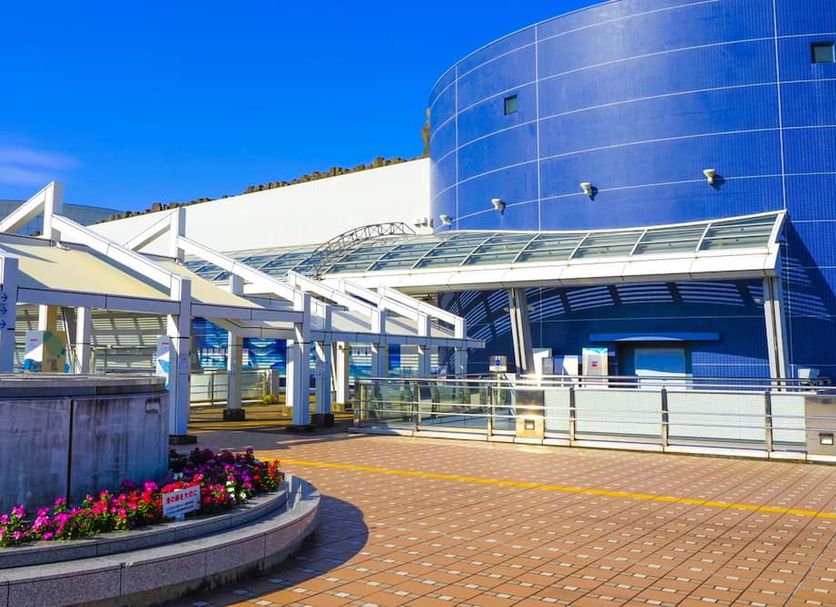 Attractions Photo