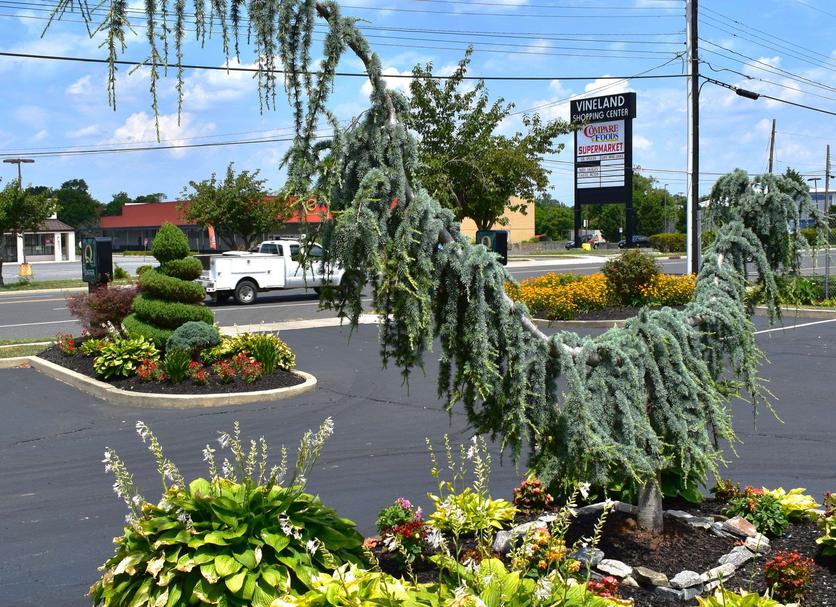 Outdoors view Photo