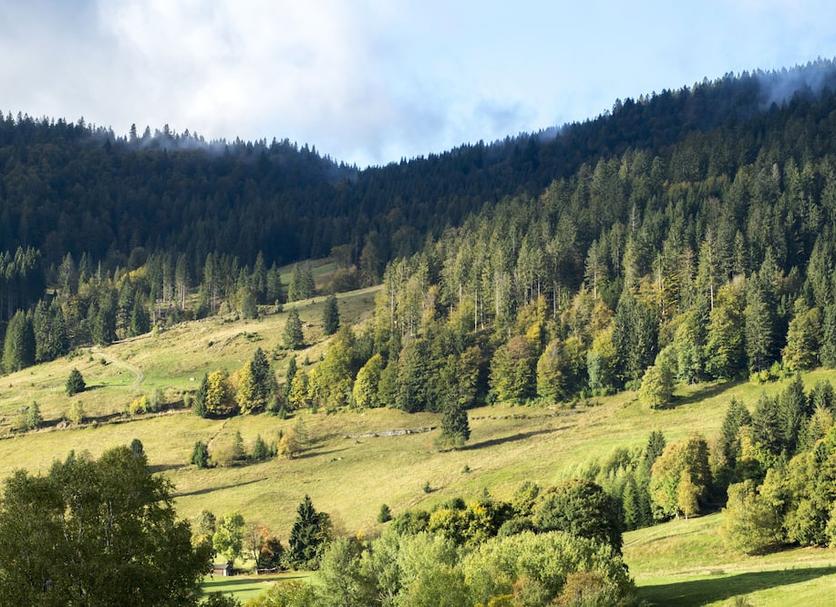 Outdoors view Photo
