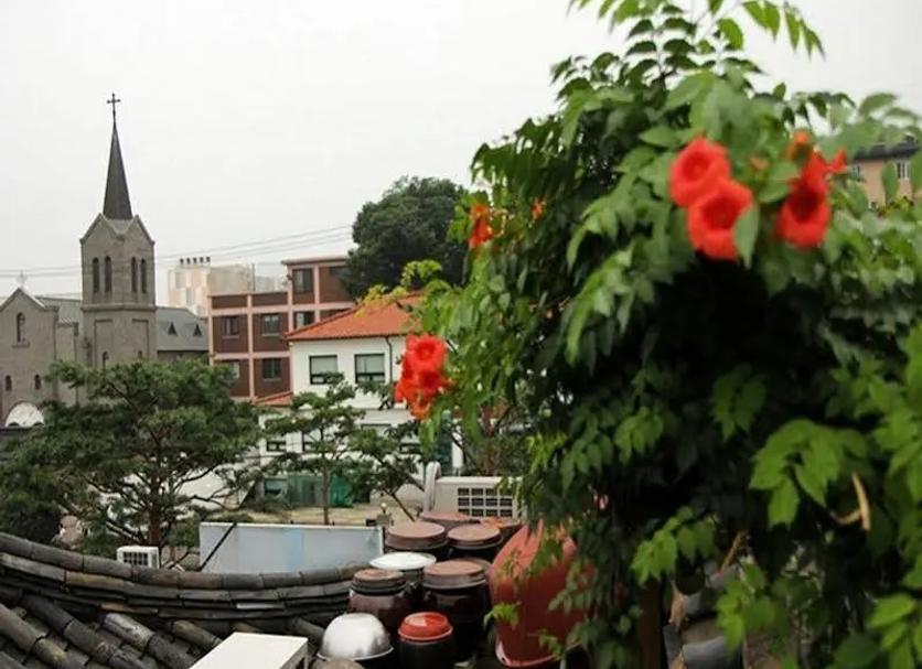 Outdoors view Photo